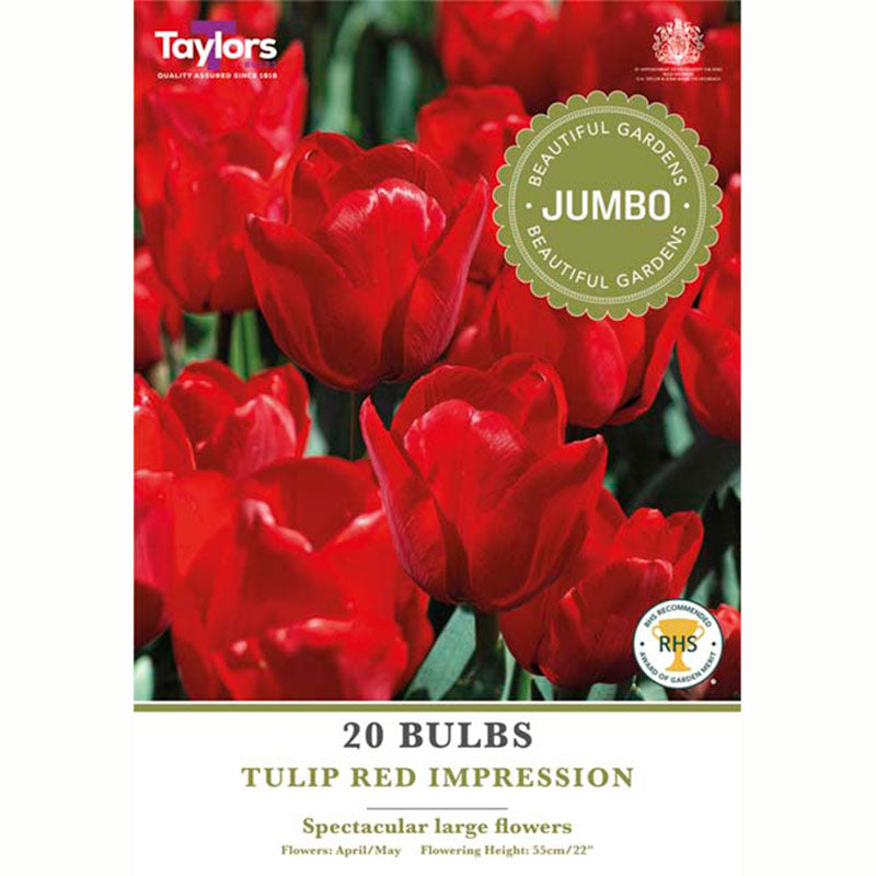 Tulip ‘Red Impression’ (20 Bulbs)