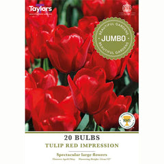 Tulip ‘Red Impression’ (20 Bulbs)