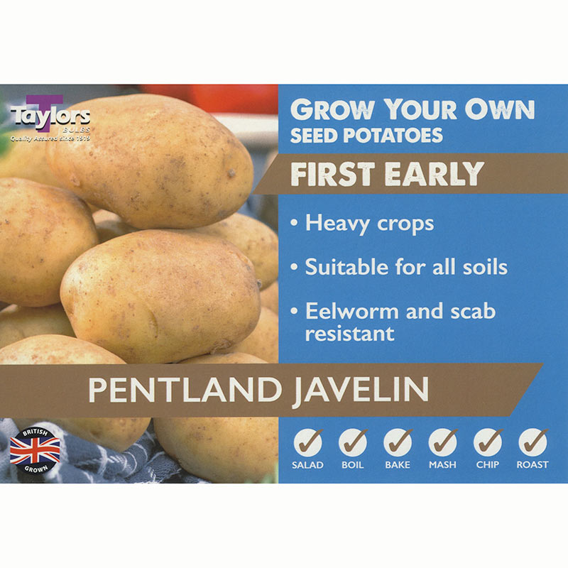 Pentland Javelin First Early Seed Potatoes