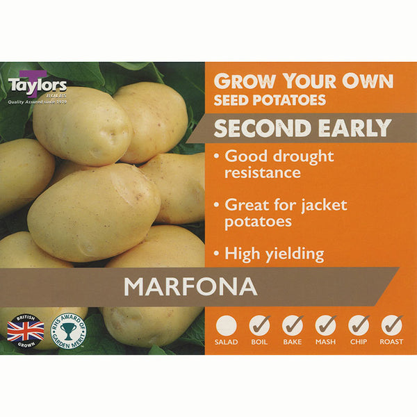 Marfona Second Early Seed Potatoes (2kg Bag)