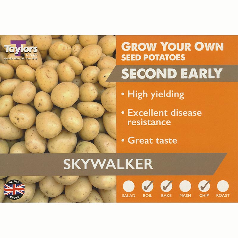Skywalker Second Early Seed Potatoes (2kg Bag)