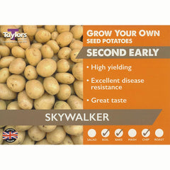 Skywalker Second Early Seed Potatoes (2kg Bag)