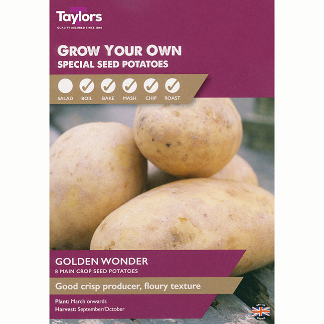 Golden Wonder Main Crop Seed Potatoes (Pack of 8)