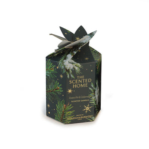 The Scented Home Festive Fir & Cedarwood Candle