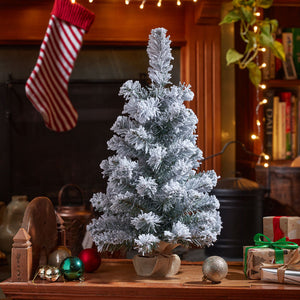 Three Kings Frosty Fir Tree