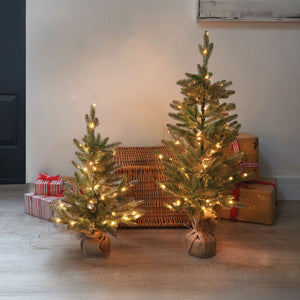 Three Kings InLit Sparkly Fir
