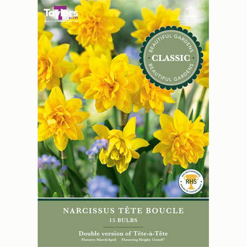 Narcissus Tete Boucle 15 Bulbs