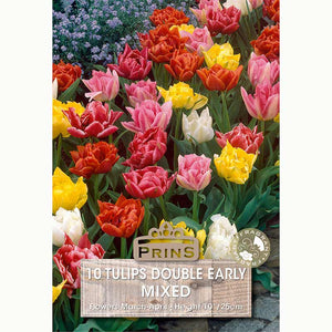 Tulip Double Early Mixed Bulbs