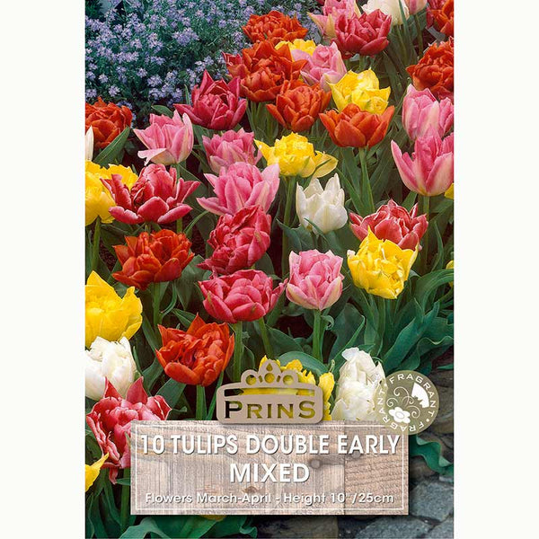 Tulip Double Early Mixed Bulbs