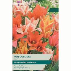Tulip 'Fun Colours' Bulbs