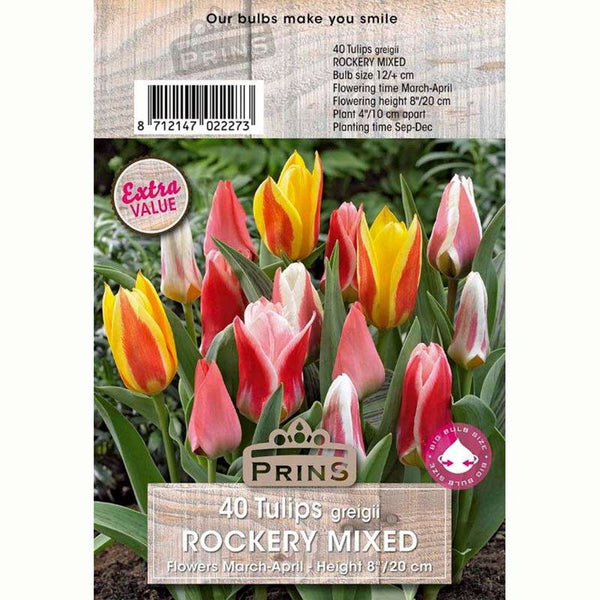 Tulips Greigii Rockery Mixed Bulbs