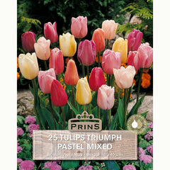 Tulips Triumph Pastel Mixed 25 Bulbs