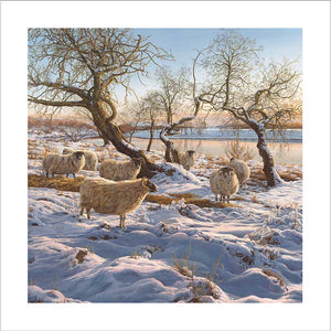 Winter Village Stream Christmas Cards (Pack of 10)