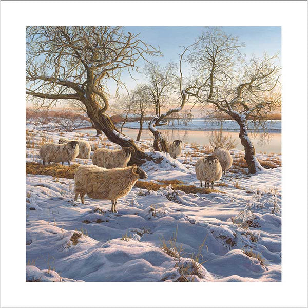 Winter Village Stream Christmas Cards (Pack of 10)