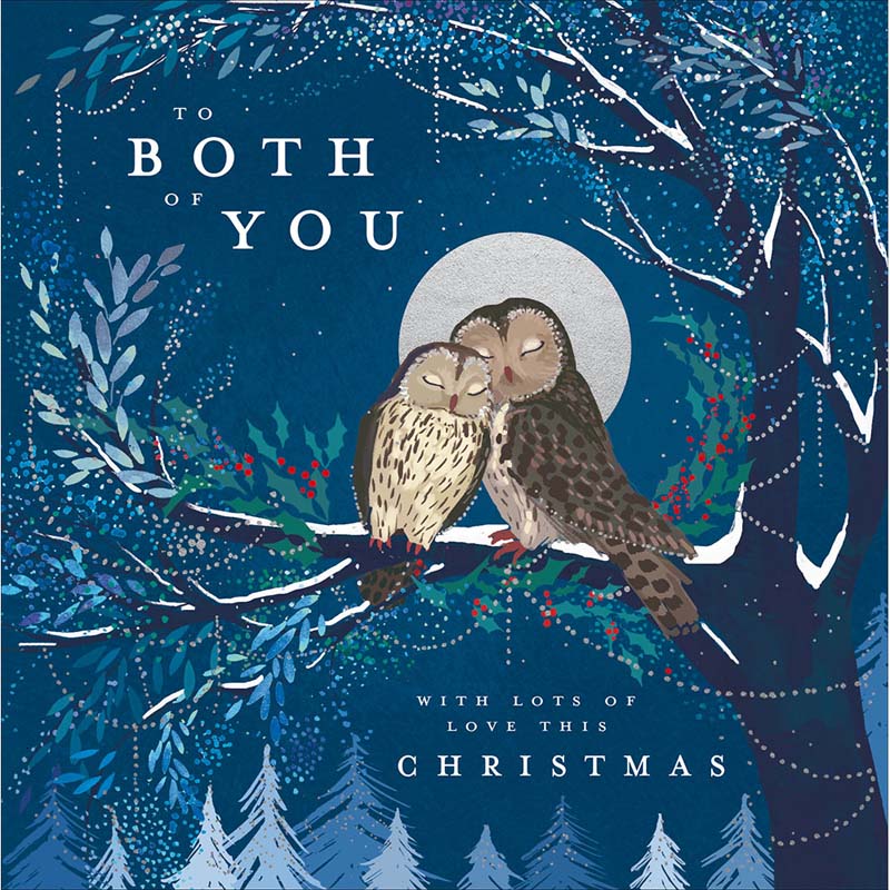 Woodmansterne Both Of You Snuggling Owls Christmas Card