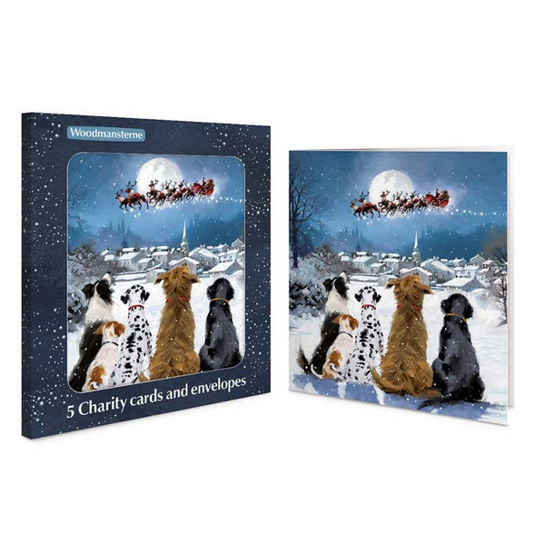 Woodmansterne Night Before Christmas Charity Christmas Cards (Pack of 5)