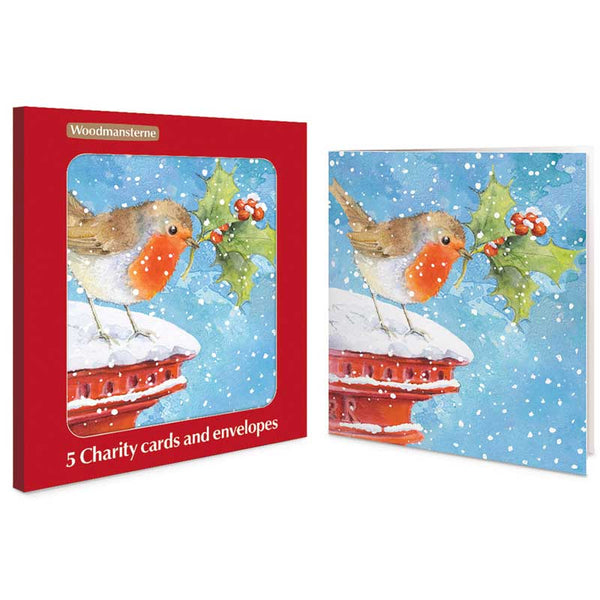 Woodmansterne Robin On A Postbox Charity Christmas Cards (Pack of 5)