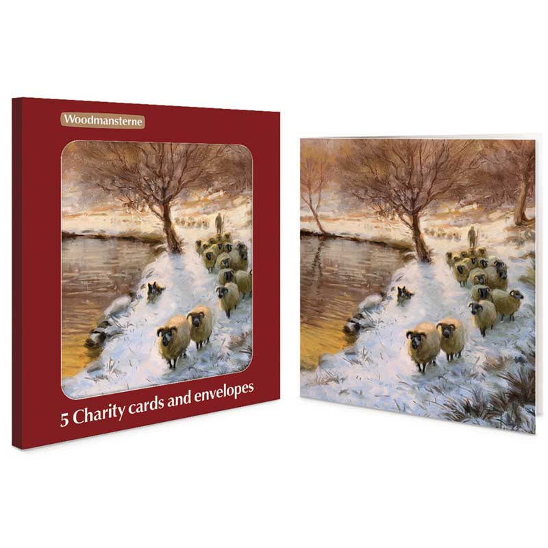 Woodmansterne Sheep In The Sunset Charity Christmas Cards (Pack of 5)