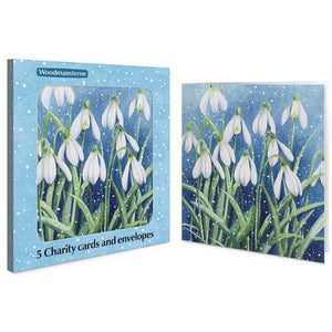 Woodmansterne Snowdrops In The Snow Charity Christmas Cards (Pack of 5)
