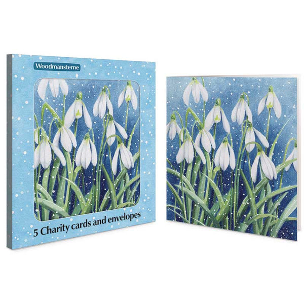 Woodmansterne Snowdrops In The Snow Charity Christmas Cards (Pack of 5)