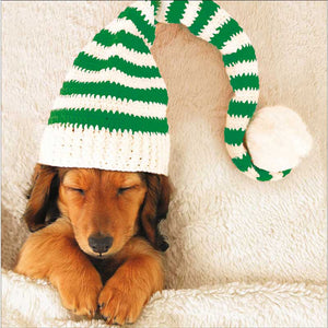 Woodmansterne 3 Dog Friends Christmas Cards (Pack of 20)