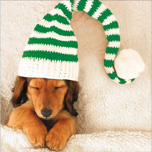 Woodmansterne 3 Dog Friends Christmas Cards (Pack of 20)