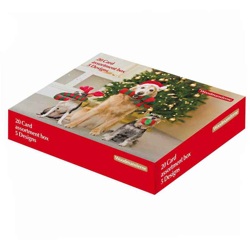 Woodmansterne 3 Dog Friends Christmas Cards (Pack of 20)