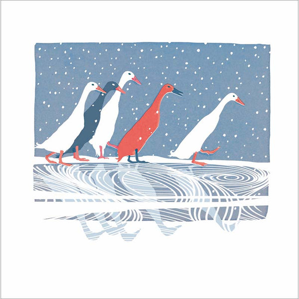 Woodmansterne Ducks Walking On Water Christmas Card