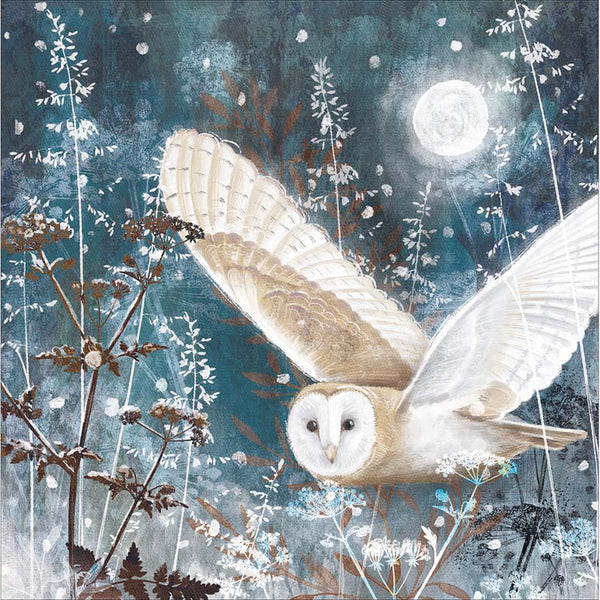 Woodmansterne Owl In Flight Christmas Card