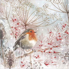 Woodmansterne Robin Amongst Seed Stems Christmas Card