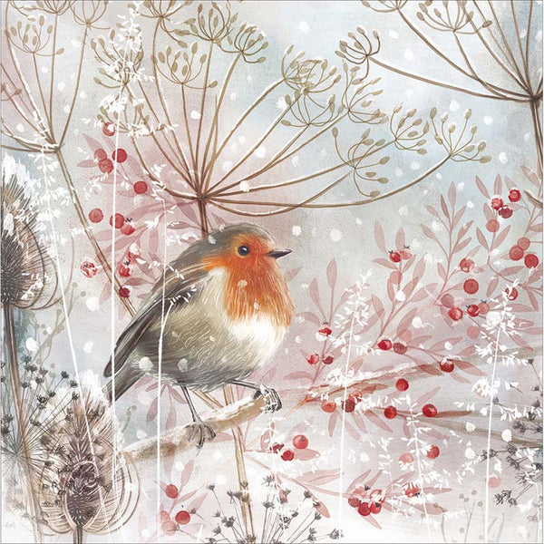Woodmansterne Robin Amongst Seed Stems Christmas Card