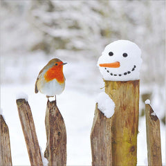 Woodmansterne Robin On A Snowy Fence Christmas Card