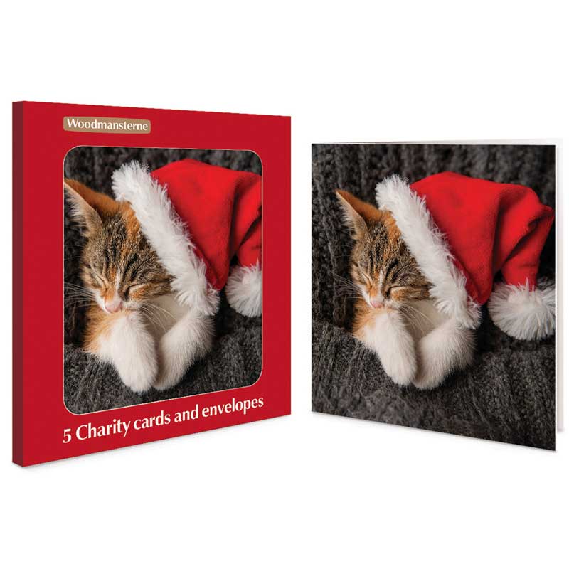 Woodmansterne Sleepy Santa Kitty Charity Christmas Cards (Pack of 5)