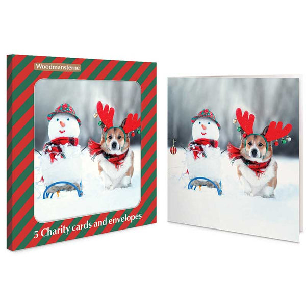 Woodmansterne Snowy Friends Charity Christmas Cards (Pack of 5)