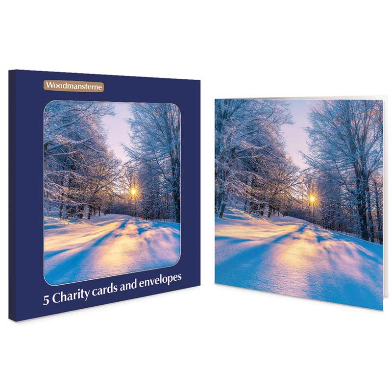 Woodmansterne Sun Shining Charity Christmas Cards (Pack of 5)