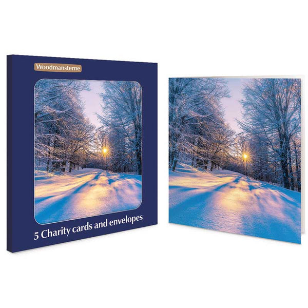 Woodmansterne Sun Shining Charity Christmas Cards (Pack of 5)