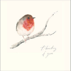 Woodmansterne Thinking Of You Robin Card