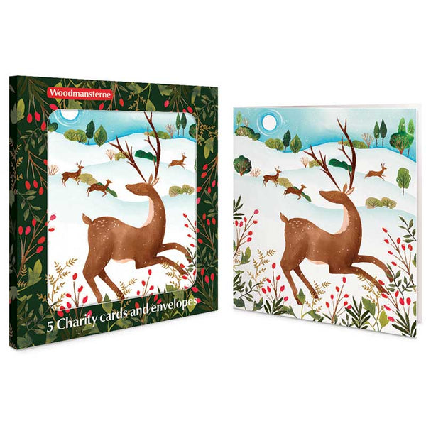 Woodmansterne Winter Deer Charity Christmas Cards (Pack of 5)