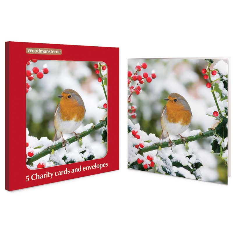 Woodmansterne Sun Shining Charity Christmas Cards (Pack of 5)