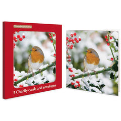 Woodmansterne Sun Shining Charity Christmas Cards (Pack of 5)