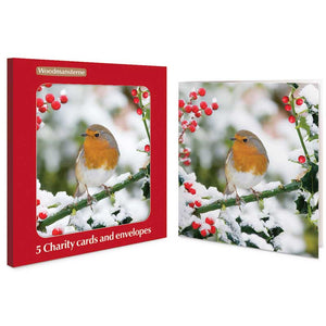 Woodmansterne Sun Shining Charity Christmas Cards (Pack of 5)