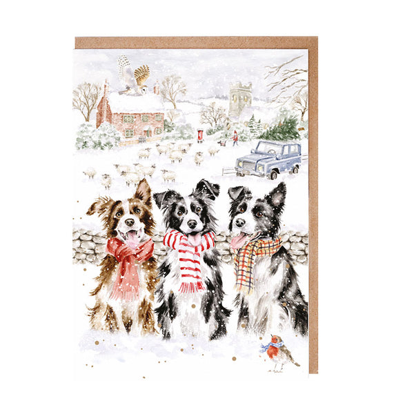 Wrendale Designs Notecard Pack - While Shepherds Watch (Pack of 8)