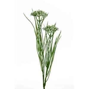Floralsilk Queen Annes Lace with Grass (66cm)