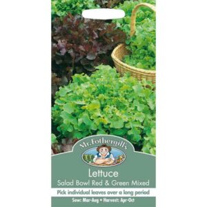 Mr Fothergill's Lettuce Salad Bowl Red & Green Mixed Seeds