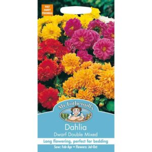 Mr Fothergill's Dahlia Dwarf Double Mixed Seeds