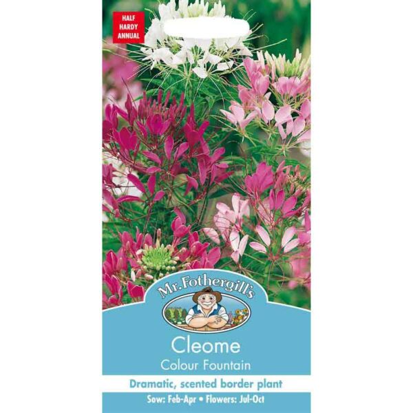 Mr Fothergill's Cleome Colour Fountain Seeds