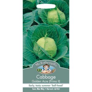 Mr Fothergill's Cabbage Golden Acre (Primo Ii) Seeds