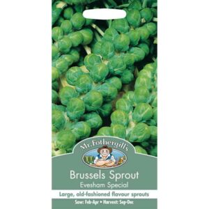 Mr Fothergill's Brussels Sprout Evesham Special Seeds