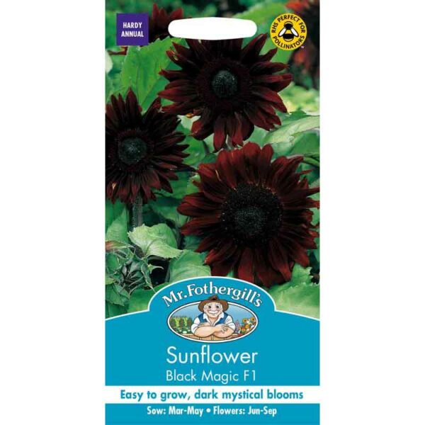 Mr Fothergill's Sunflower Black Magic F1 Seeds
