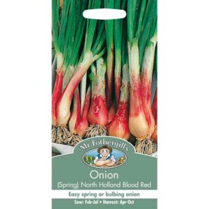 Mr Fothergill's Onion (Spring) North Holland Blood Red Seeds